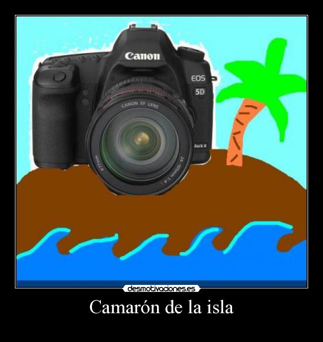 Camarón de la isla -