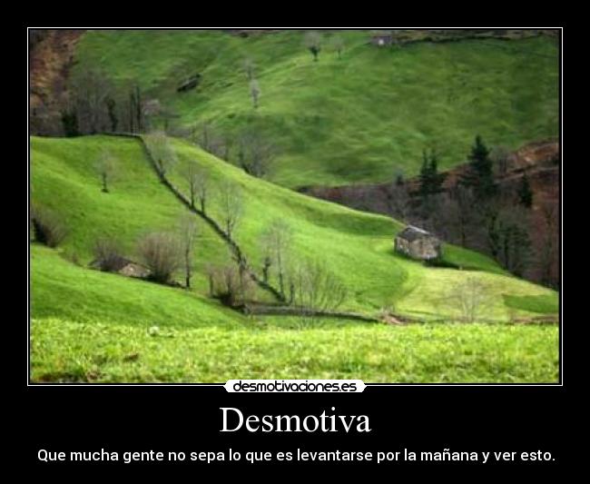 Desmotiva - Que mucha gente no sepa lo que es levantarse por la mañana y ver esto.