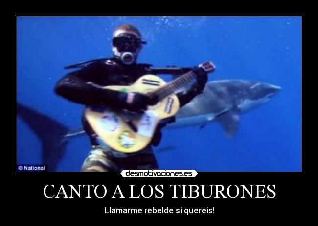 CANTO A LOS TIBURONES -