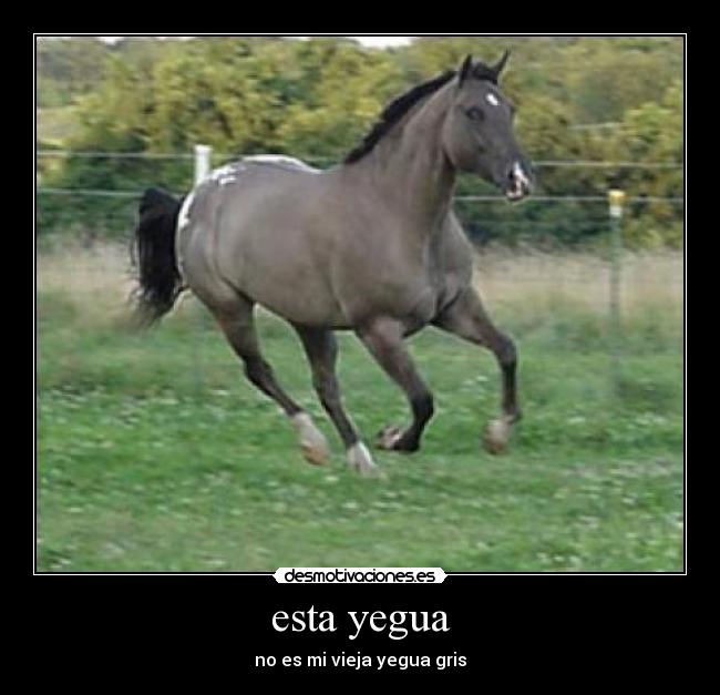 esta yegua - 