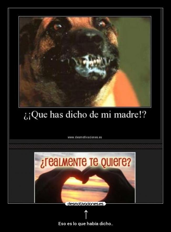 ↑ - Eso es lo que había dicho..