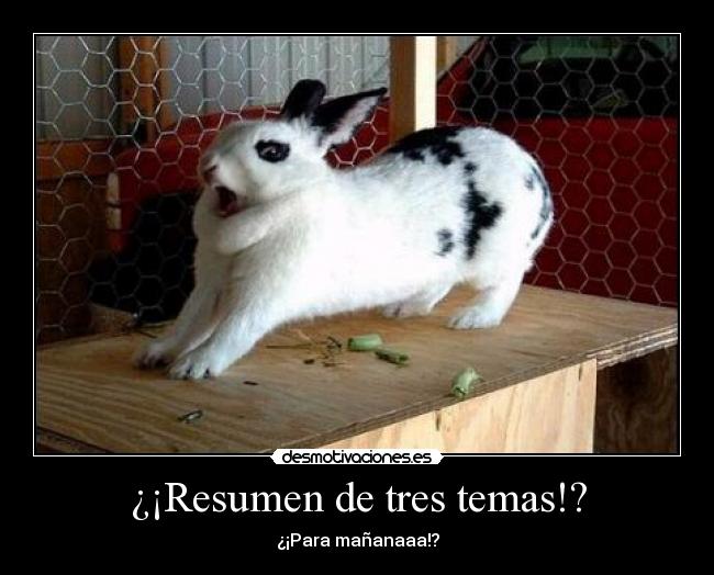 ¿¡Resumen de tres temas!? - ¿¡Para mañanaaa!?