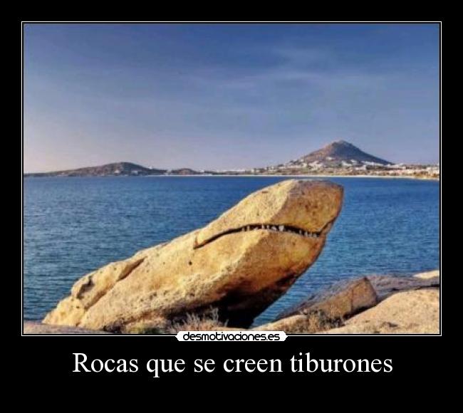 Rocas que se creen tiburones -