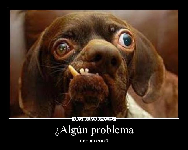 carteles problema desmotivaciones