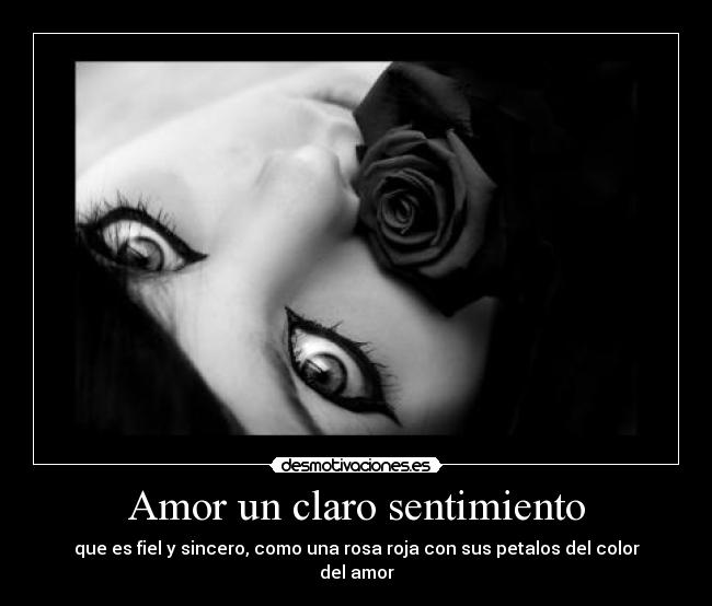 Amor un claro sentimiento -