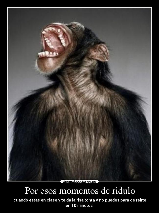 carteles risa tonta desmotivaciones
