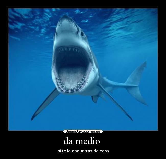 da medio - si te lo encuntras de cara