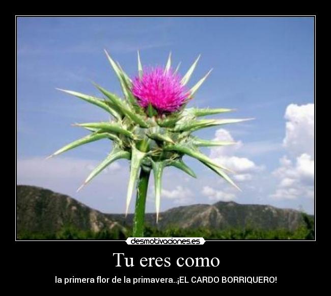 carteles soulstreet desmotivaciones