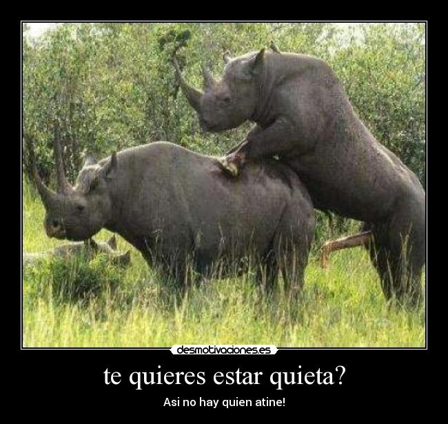 te quieres estar quieta? -