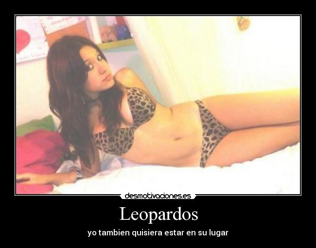 carteles leopardos desmotivaciones