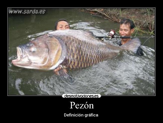 Pezón -