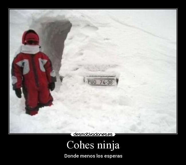 Cohes ninja -