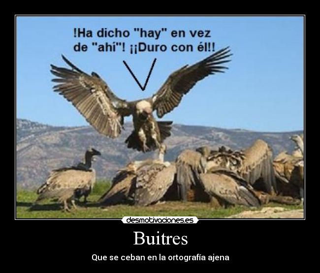 Buitres - Que se ceban en la ortografía ajena