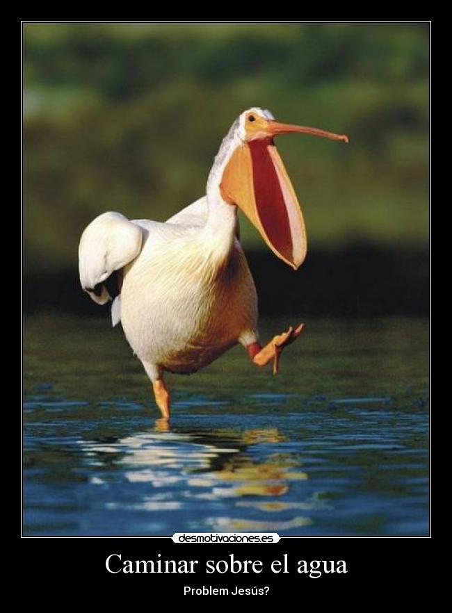 Caminar sobre el agua -