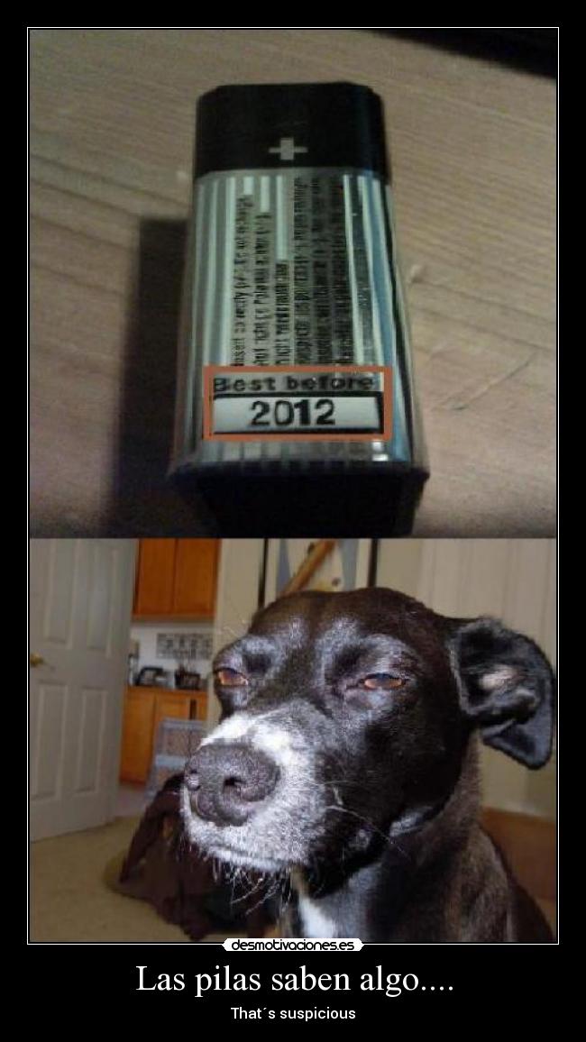 Las pilas saben algo.... - That´s suspicious