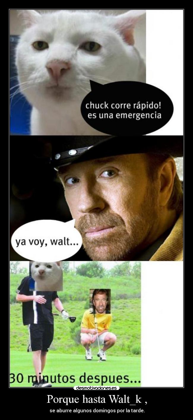 Porque hasta Walt_k , -