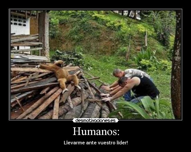 Humanos: - 