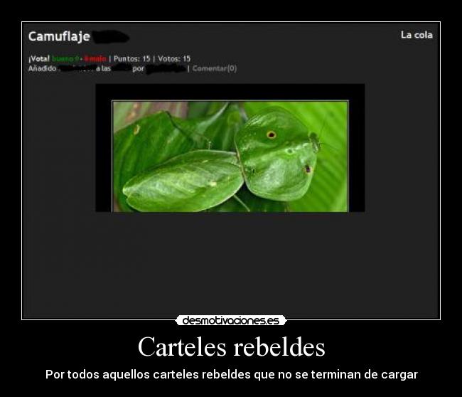 Carteles rebeldes - 
