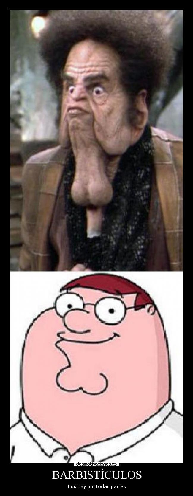 BARBISTÌCULOS - Los hay por todas partes