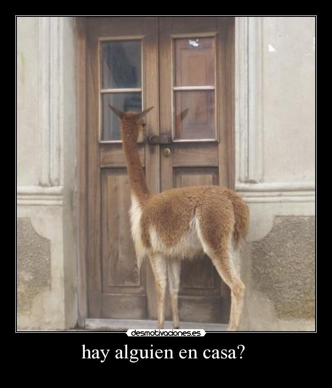 hay alguien en casa?  - 