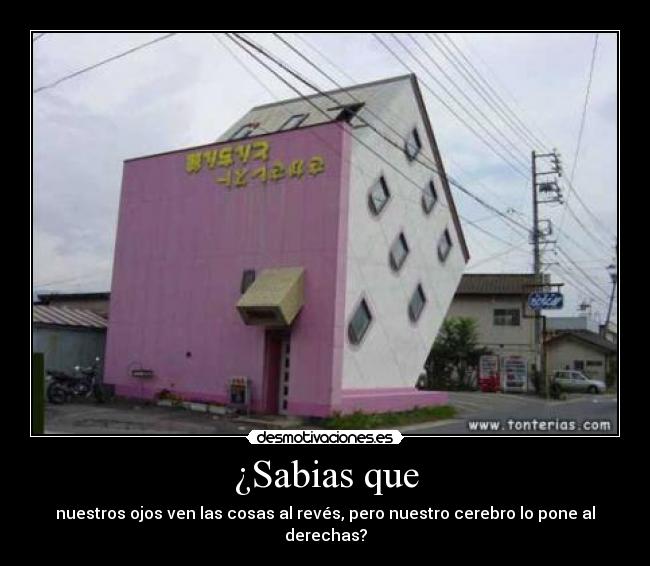 ¿Sabias que - nuestros ojos ven las cosas al revés, pero nuestro cerebro lo pone al derechas?