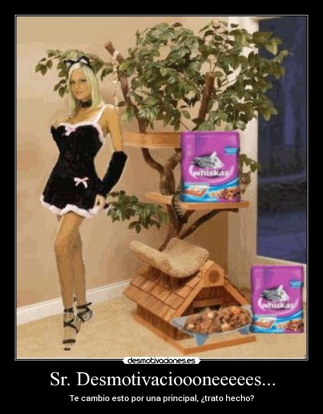 Sr. Desmotivacioooneeeees... -