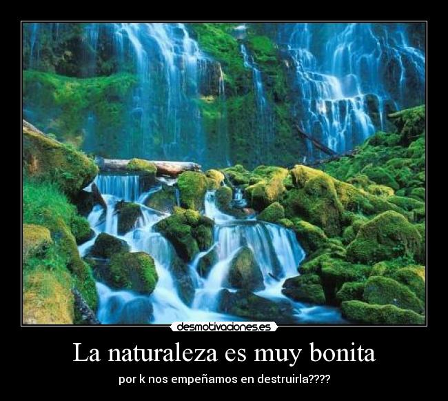 La naturaleza es muy bonita -