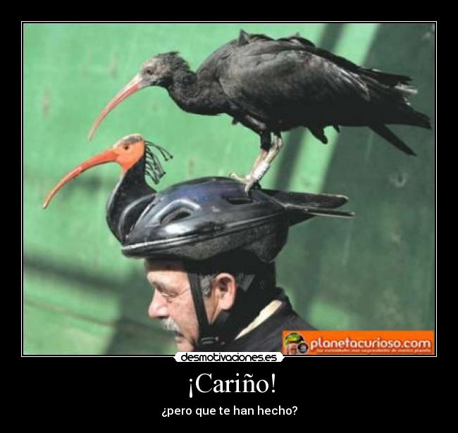 ¡Cariño! - 