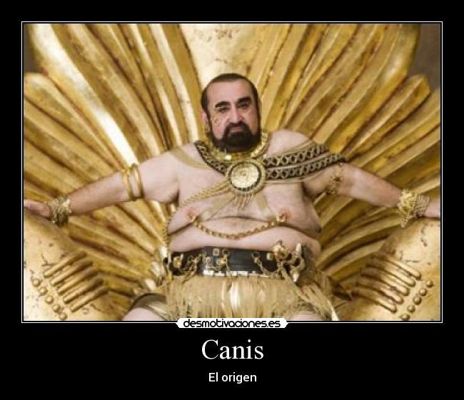 Canis - 
