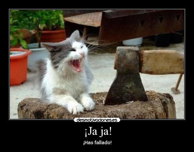 carteles gato desmotivaciones