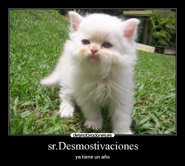 sr.Desmostivaciones - ya tiene un año