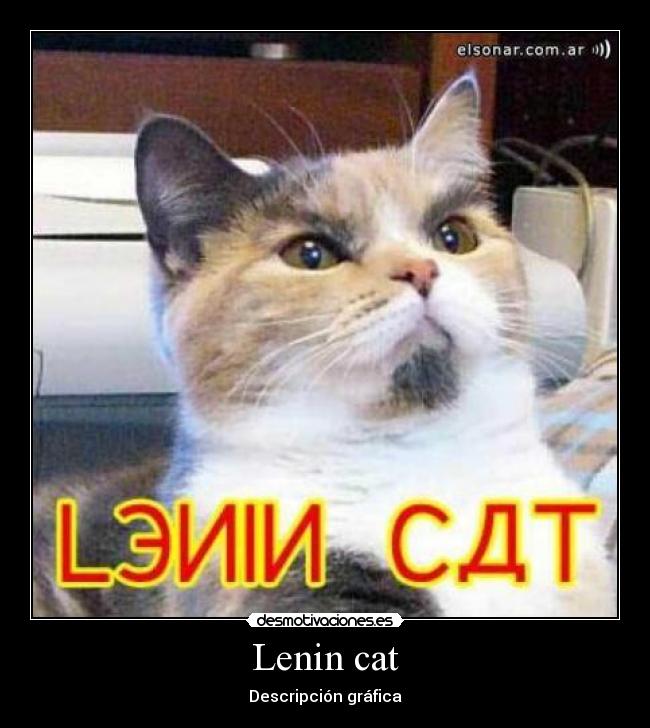 Lenin cat - Descripción gráfica