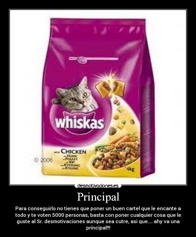 Principal -