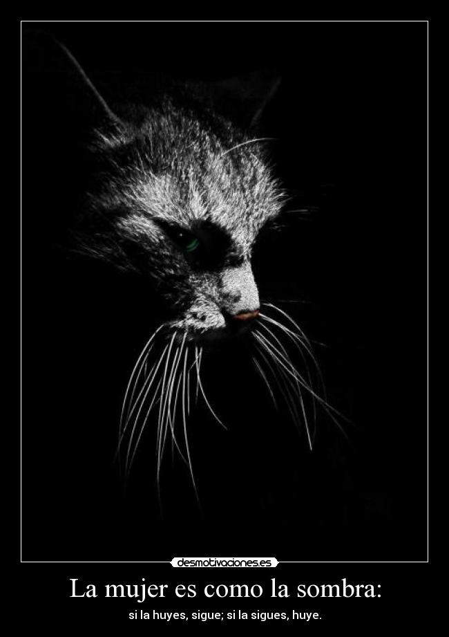 La mujer es como la sombra: -