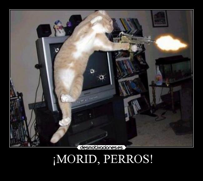 ¡MORID, PERROS! -