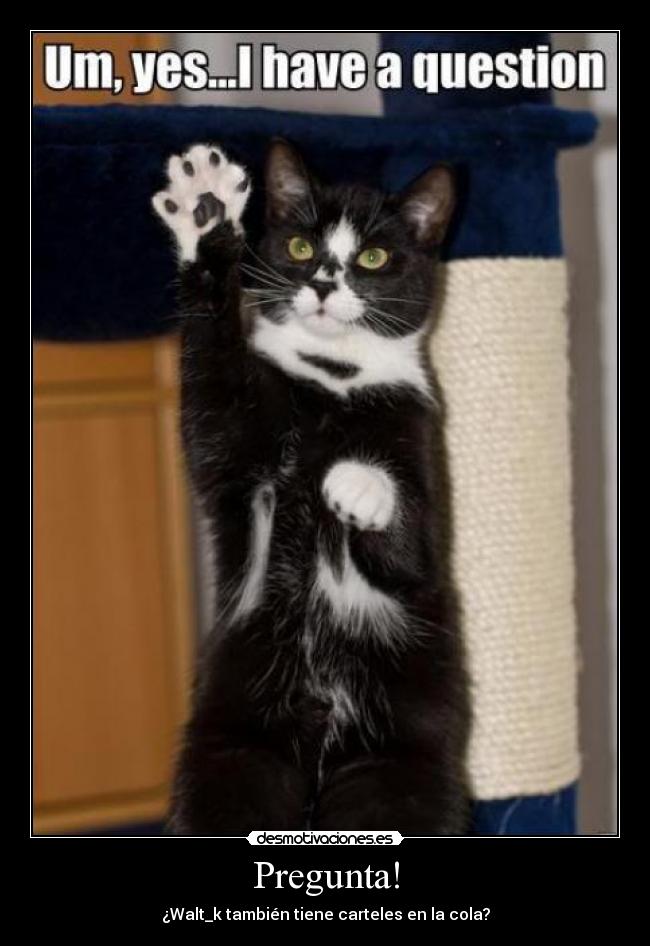 Pregunta! - ¿Walt_k también tiene carteles en la cola?