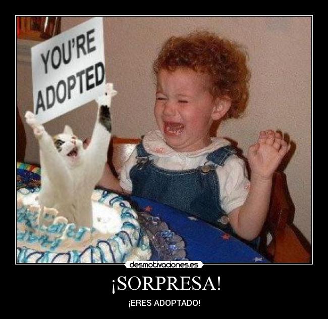 carteles sorpresa gato adoptado desmotivaciones