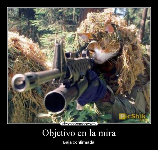 Objetivo en la mira - Baja confirmada 