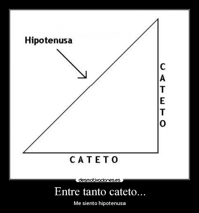 Entre tanto cateto... - Me siento hipotenusa