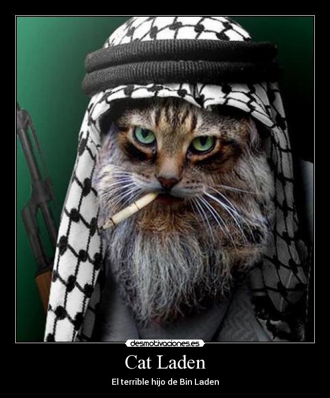 Cat Laden - El terrible hijo de Bin Laden