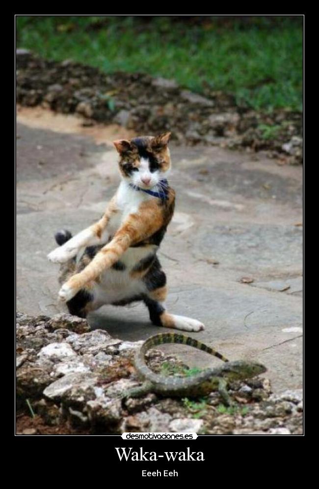 Waka-waka - 