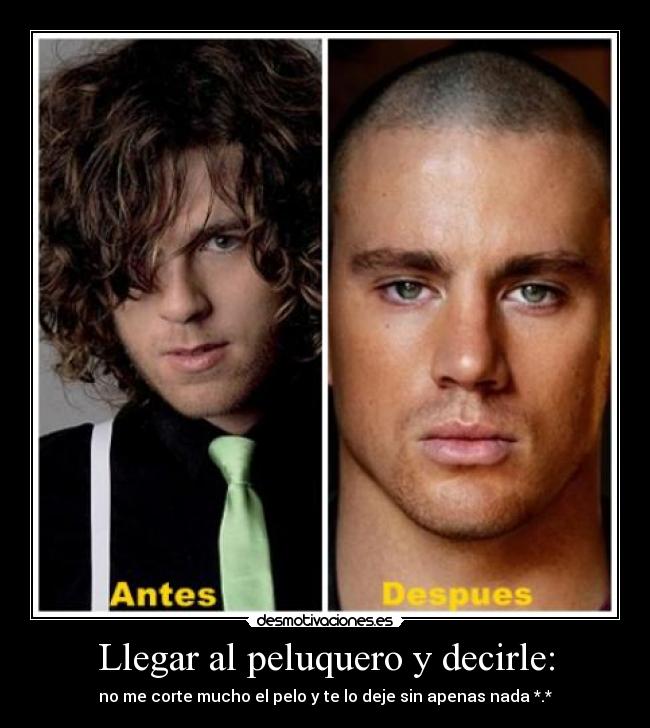 carteles peluqueros desmotivaciones