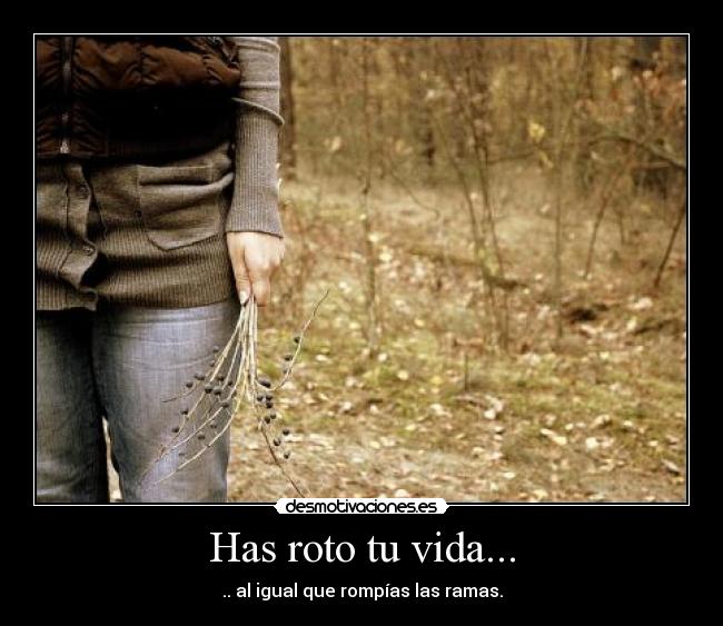 Has roto tu vida... - .. al igual que rompías las ramas.