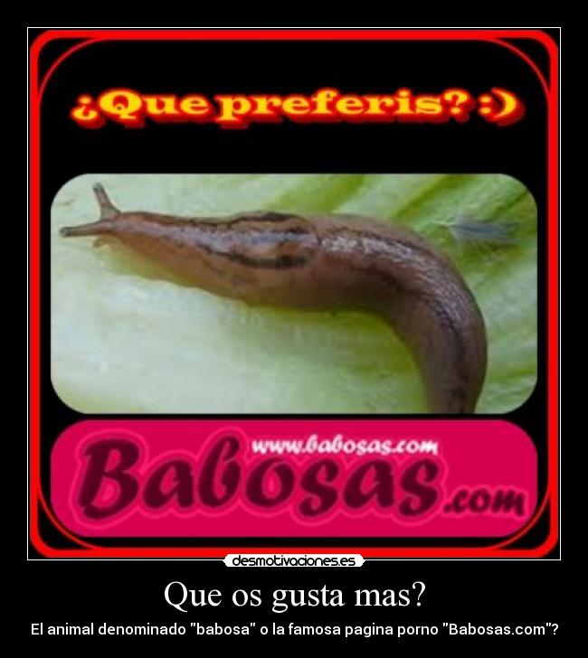 carteles pene desmotivaciones