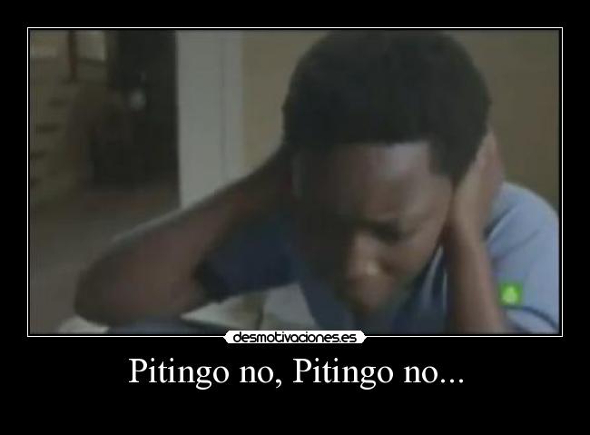 Pitingo no, Pitingo no... -