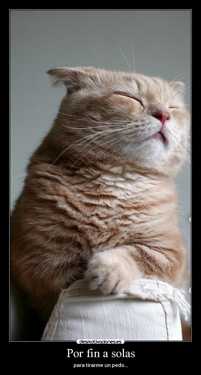 Por fin a solas - 