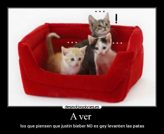 A ver  - los que piensen que justin bieber NO es gey levanten las patas
