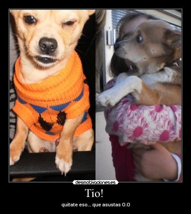 Tio!  - 