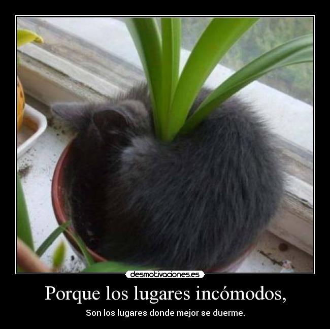 Porque los lugares incómodos, - 