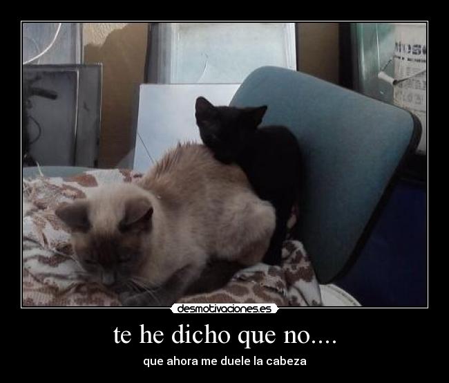 te he dicho que no.... - 